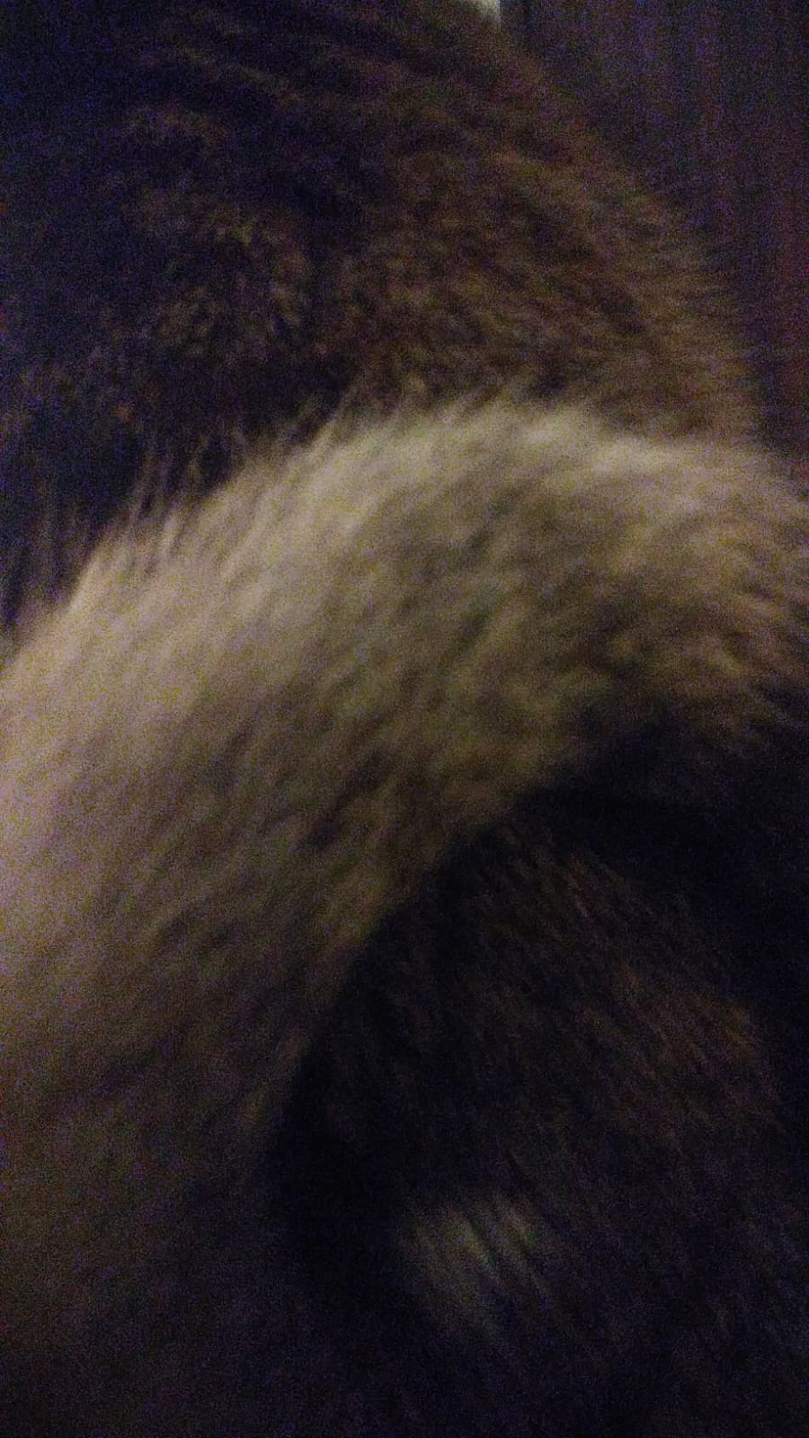 Ma's POV of Tuni while she lays on her chest